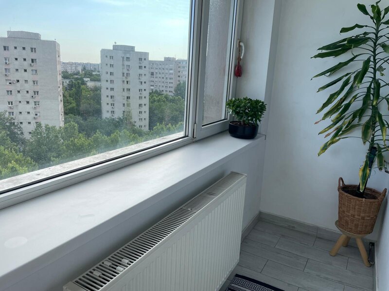 Trapezului, 1 Decembrie 1918, Theodor Pallady 18