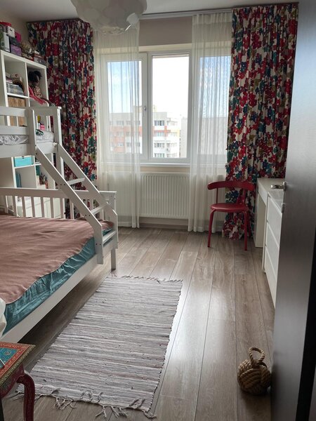 Trapezului, 1 Decembrie 1918, Theodor Pallady 18