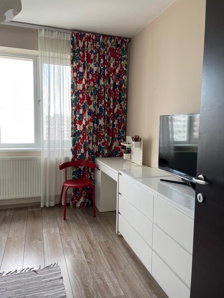 Trapezului, 1 Decembrie 1918, Theodor Pallady 18