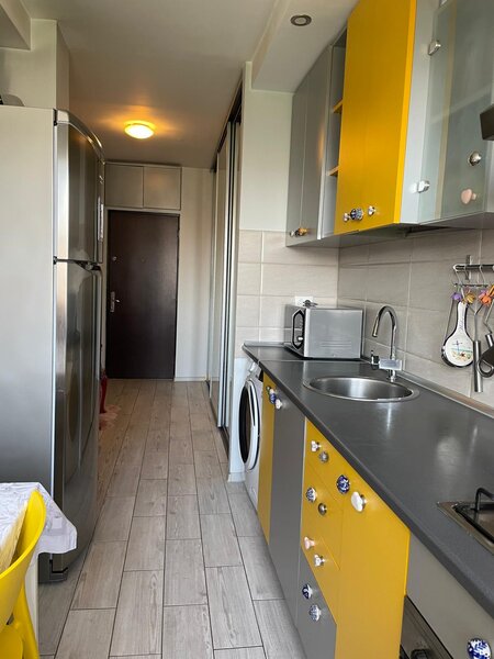 Trapezului, 1 Decembrie 1918, Theodor Pallady 18