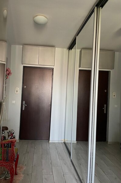 Trapezului, 1 Decembrie 1918, Theodor Pallady 18