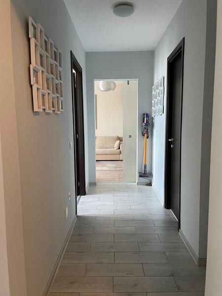 Trapezului, 1 Decembrie 1918, Theodor Pallady 18