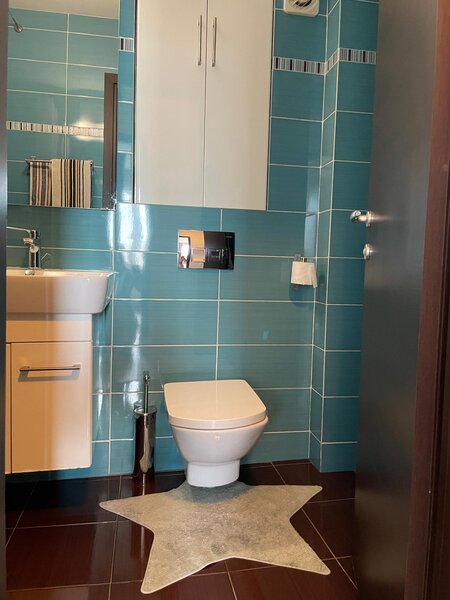 Trapezului, 1 Decembrie 1918, Theodor Pallady 18